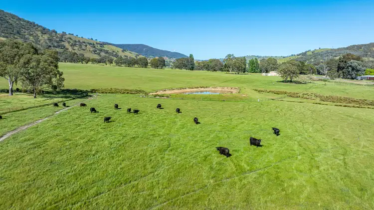 Fourth view of Homely rural property listing, 60 Darmondys Road, Leneva VIC 3691