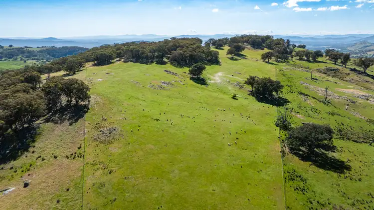 Sixth view of Homely rural property listing, . Felltimber Creek Road, West Wodonga VIC 3690