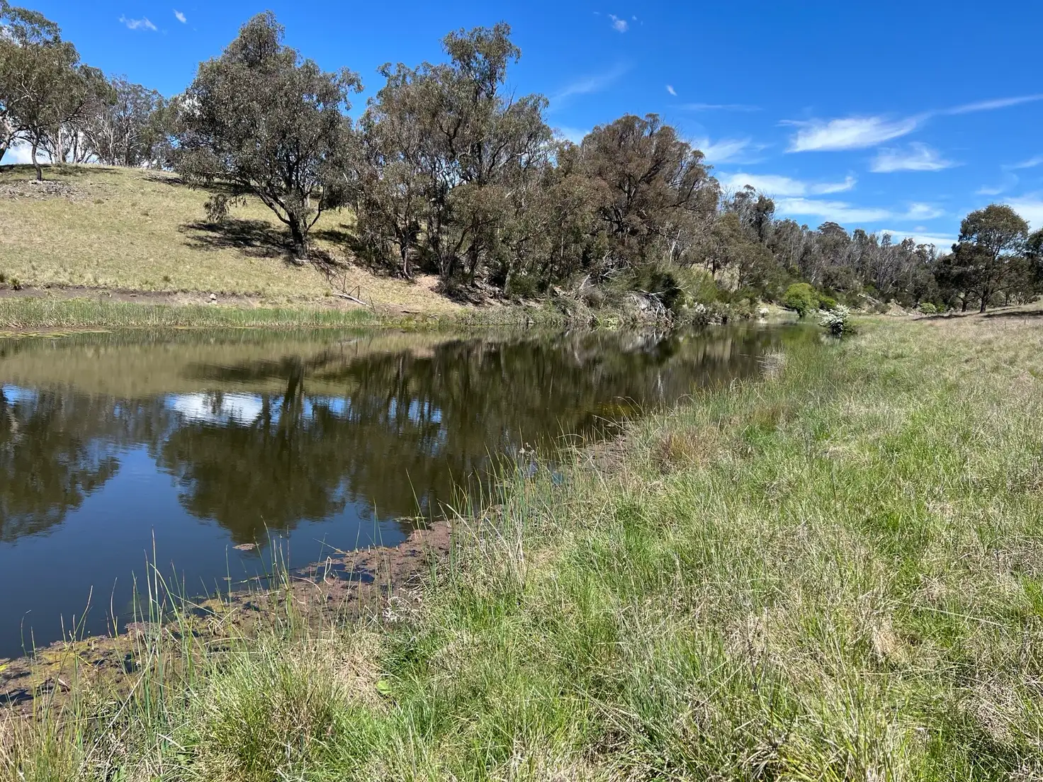 Main view of Homely rural property listing, 860 Bullock Mountain Road, Yarrowford NSW 2370