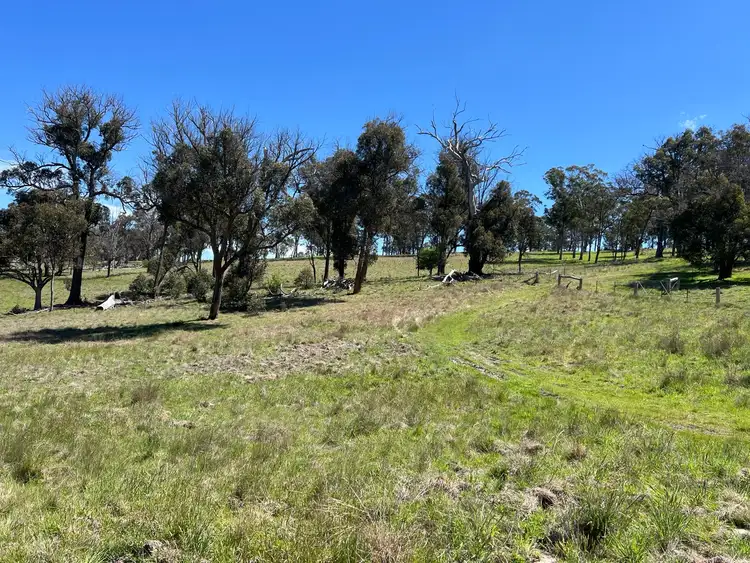 Fifth view of Homely rural property listing, 860 Bullock Mountain Road, Yarrowford NSW 2370