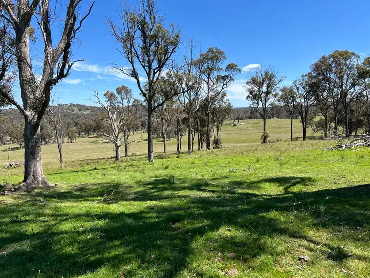 Sixth view of Homely rural property listing, 860 Bullock Mountain Road, Yarrowford NSW 2370