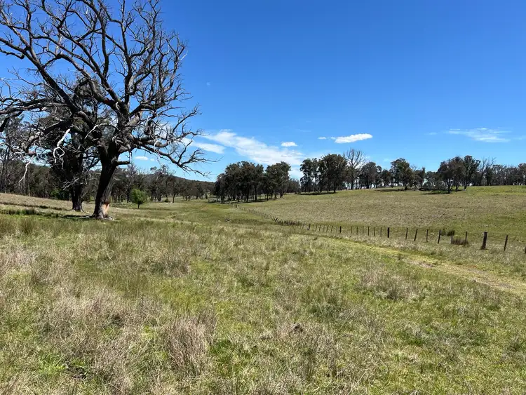 Seventh view of Homely rural property listing, 860 Bullock Mountain Road, Yarrowford NSW 2370