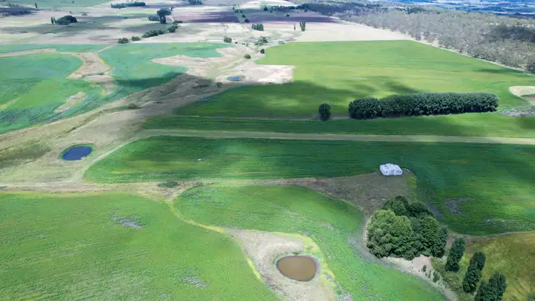 Fourth view of Homely rural property listing, 494 Stonehenge Road, Glen Innes NSW 2370