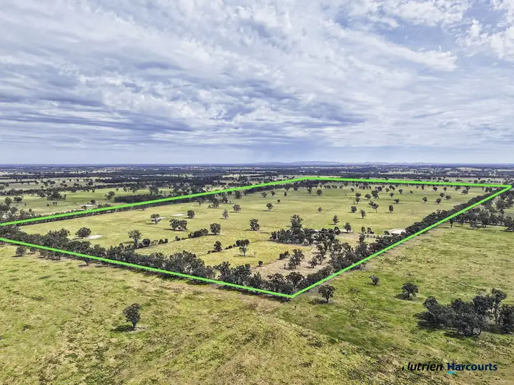 43 Robinson Road, Violet Town VIC 3669
