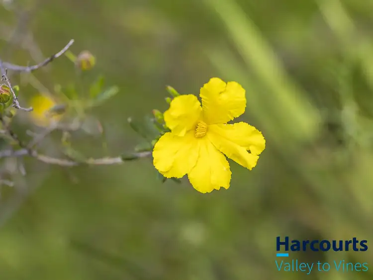 Seventh view of Homely land listing, 110 Patersonia Road, Chittering WA 6084