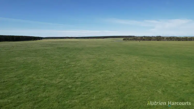 Fourth view of Homely rural property listing, 25 Mount Bute Road, Bradvale VIC 3361