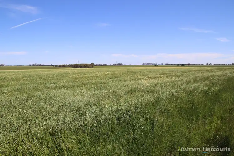 Fifth view of Homely rural property listing, 25 Mount Bute Road, Bradvale VIC 3361