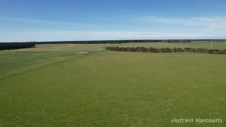 Sixth view of Homely rural property listing, 25 Mount Bute Road, Bradvale VIC 3361