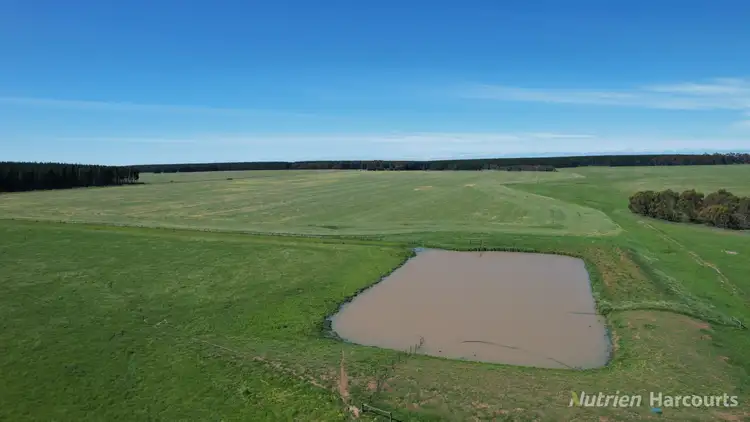 Seventh view of Homely rural property listing, 25 Mount Bute Road, Bradvale VIC 3361