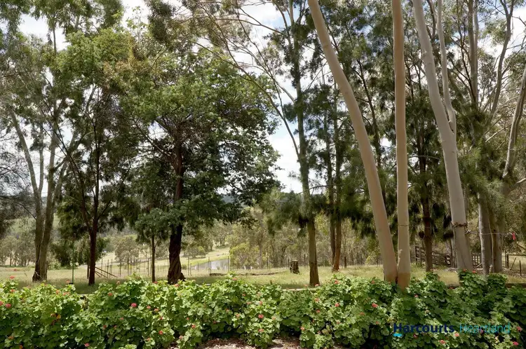 Second view of Homely studio listing, 16 Doherty Court, Kangaroo Gully WA 6255