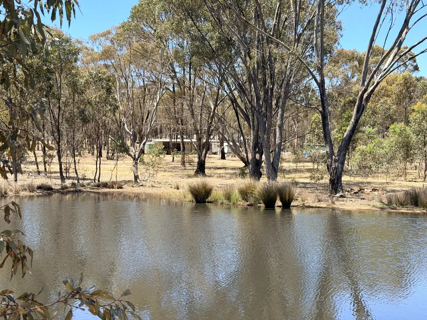 Main view of Homely rural property listing, Crown Allotment 1E, Lock Road, St Arnaud VIC 3478