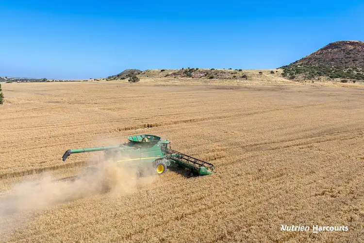 Seventh view of Homely rural property listing, 698 Chapman Valley Road, Moresby WA 6530