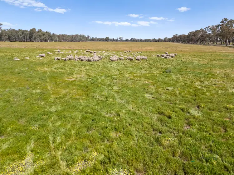 Fourth view of Homely rural property listing, 1633 Euroa-Shepparton Road, Miepoll VIC 3666