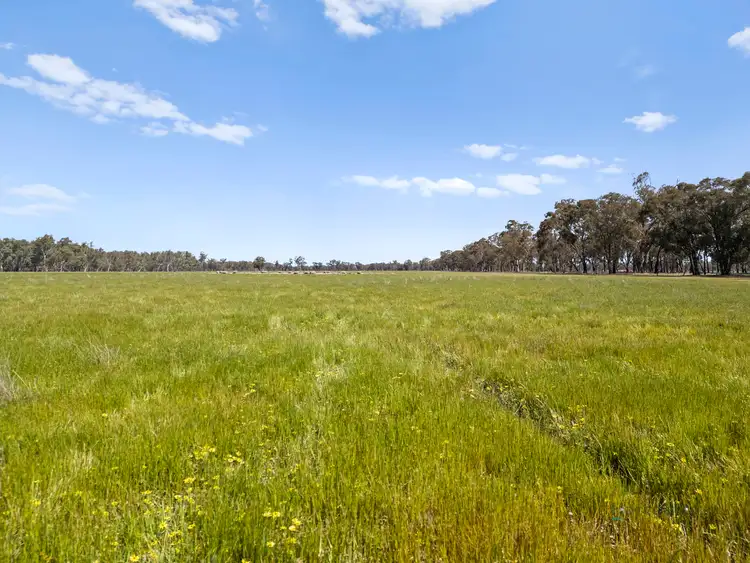 Fifth view of Homely rural property listing, 1633 Euroa-Shepparton Road, Miepoll VIC 3666
