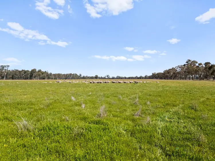 Sixth view of Homely rural property listing, 1633 Euroa-Shepparton Road, Miepoll VIC 3666