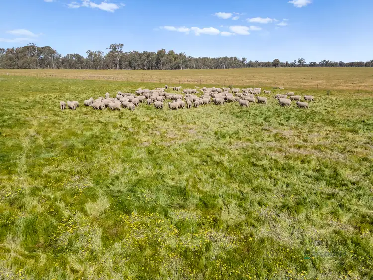 Seventh view of Homely rural property listing, 1633 Euroa-Shepparton Road, Miepoll VIC 3666