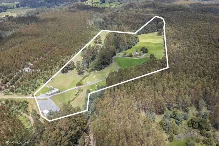 Third view of Homely rural property listing, 98 Settlement Road, Flowery Gully TAS 7270