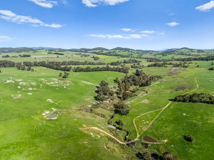 Third view of Homely rural property listing, 99 Tames Road, Strathbogie VIC 3666