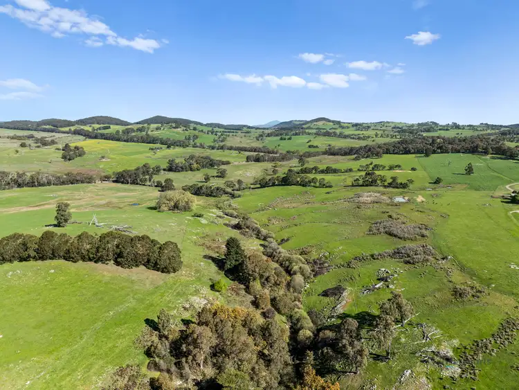 Fifth view of Homely rural property listing, 99 Tames Road, Strathbogie VIC 3666