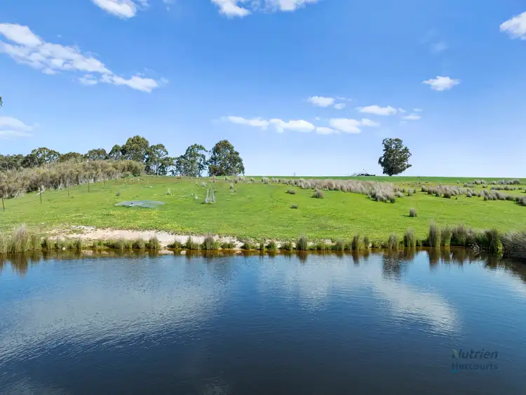 Sixth view of Homely rural property listing, 99 Tames Road, Strathbogie VIC 3666