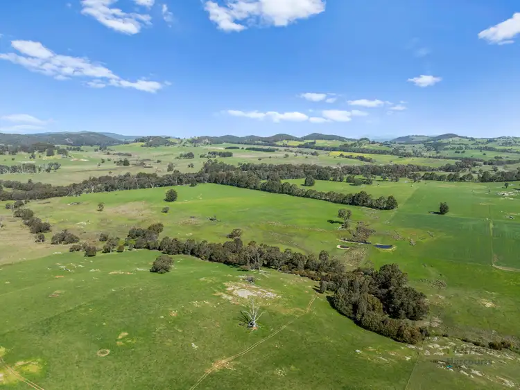 Seventh view of Homely rural property listing, 99 Tames Road, Strathbogie VIC 3666