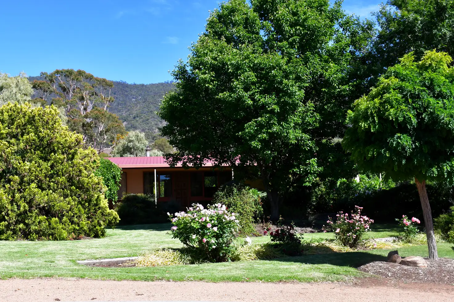 Main view of Homely house listing, 10 Searle Street, Melrose SA 5483