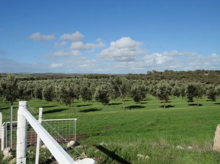 Main view of Homely rural property listing, Lot 28 Brand Highway, Bookara WA 6525