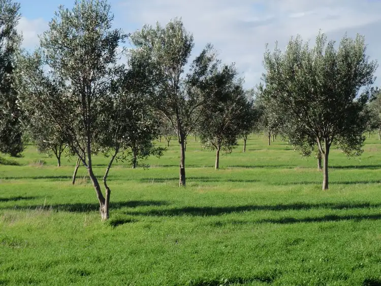 Second view of Homely rural property listing, Lot 28 Brand Highway, Bookara WA 6525