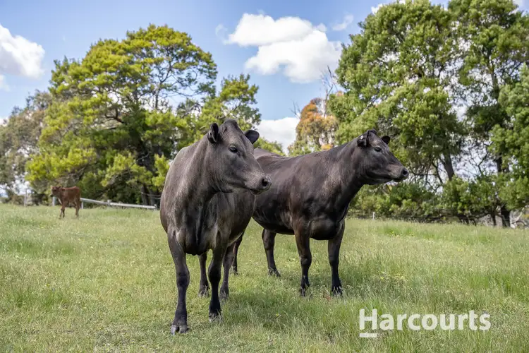 Fourth view of Homely land listing, Address available on request