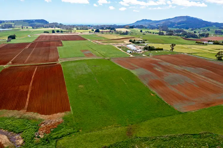 Fifth view of Homely rural property listing, 918 South Riana Road, South Riana TAS 7316