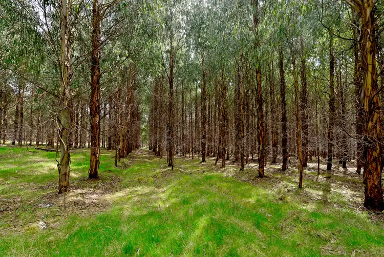 Seventh view of Homely rural property listing, 8415 Lyell Highway, Ouse TAS 7140