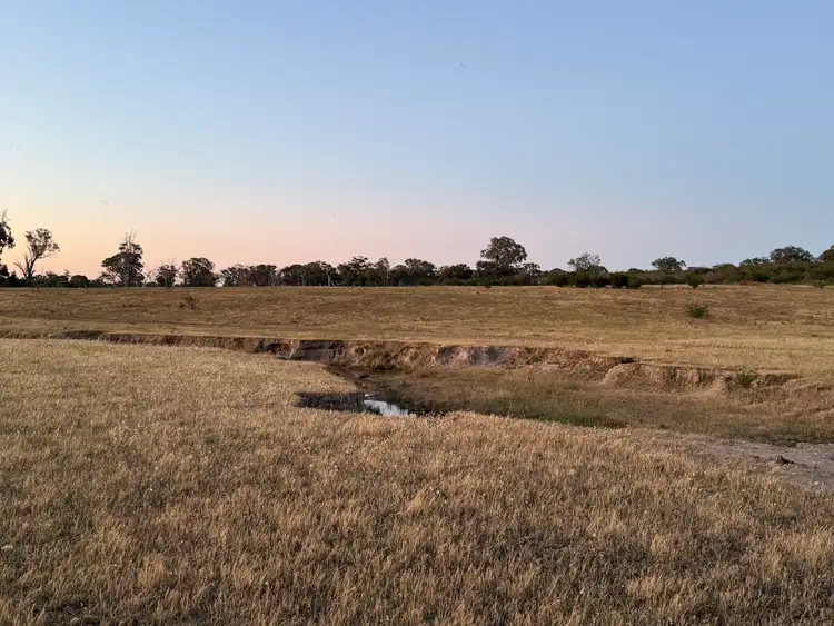 Fifth view of Homely rural property listing, LOT 3 Part McDiarmids Road, Violet Town VIC 3669