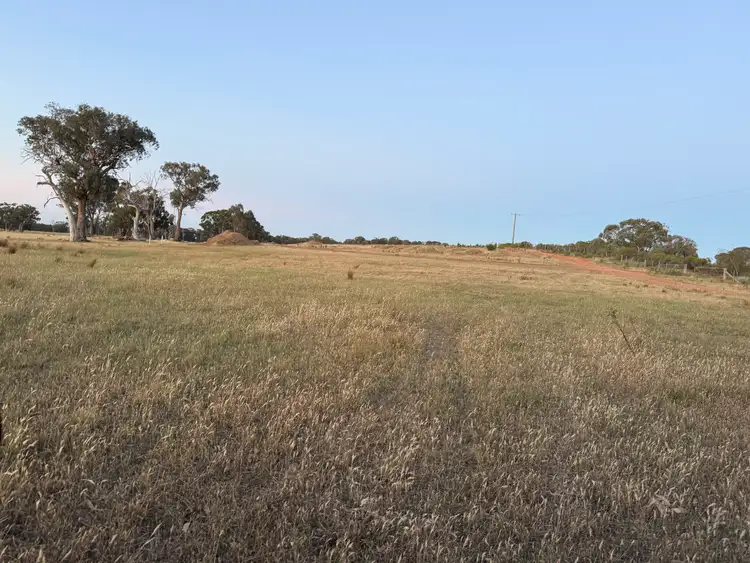 Sixth view of Homely rural property listing, LOT 3 Part McDiarmids Road, Violet Town VIC 3669