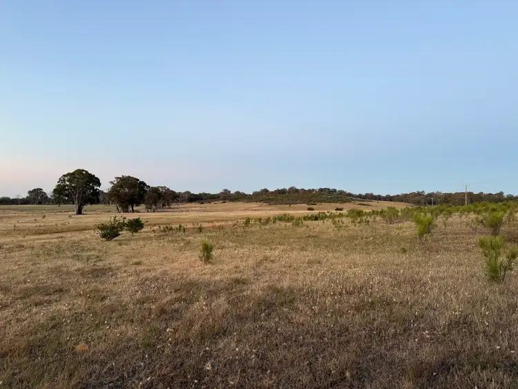 Seventh view of Homely rural property listing, LOT 3 Part McDiarmids Road, Violet Town VIC 3669