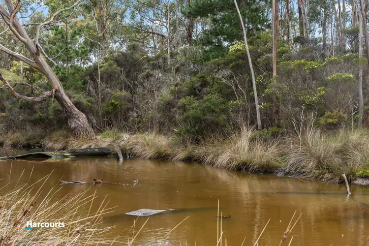 Third view of Homely land listing, Lot 1 Wilsons Road, Southport TAS 7109