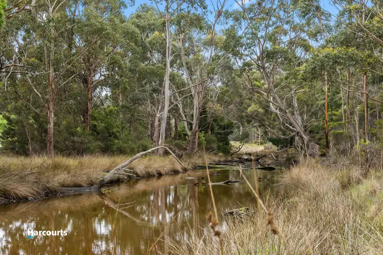 Fourth view of Homely land listing, Lot 1 Wilsons Road, Southport TAS 7109