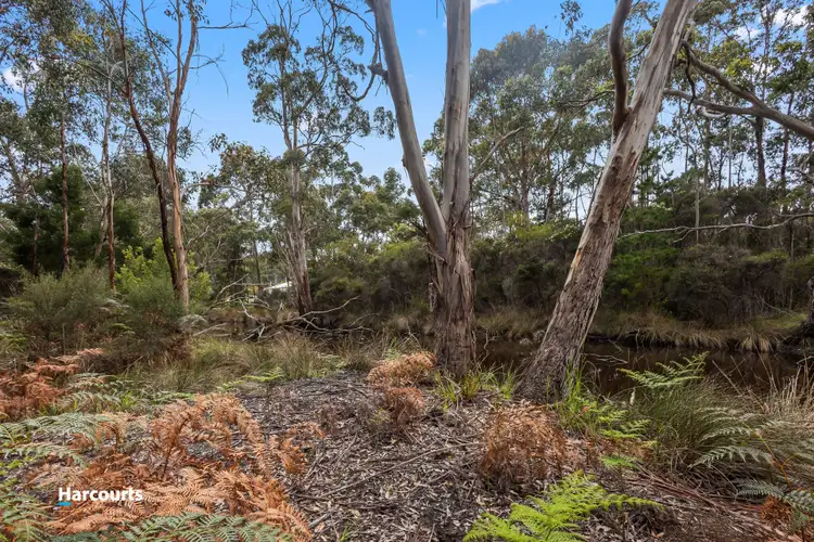 Seventh view of Homely land listing, Lot 1 Wilsons Road, Southport TAS 7109