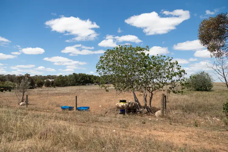 Fourth view of Homely land listing, Lot 1 Mannum Road, Murray Bridge North SA 5253
