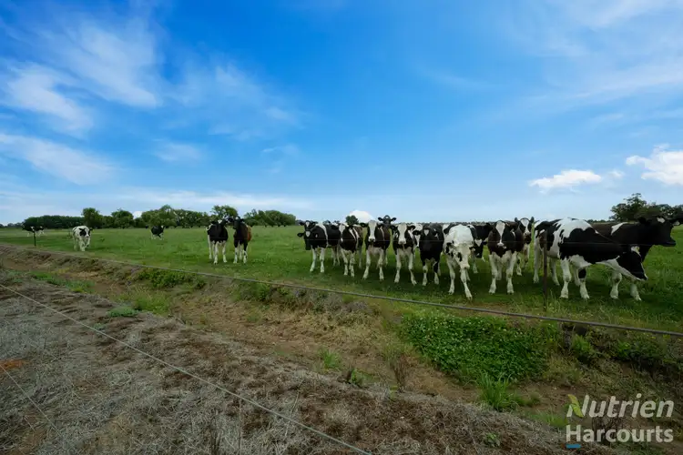 Sixth view of Homely rural property listing, 170 Bedford Road, Invergordon VIC 3636