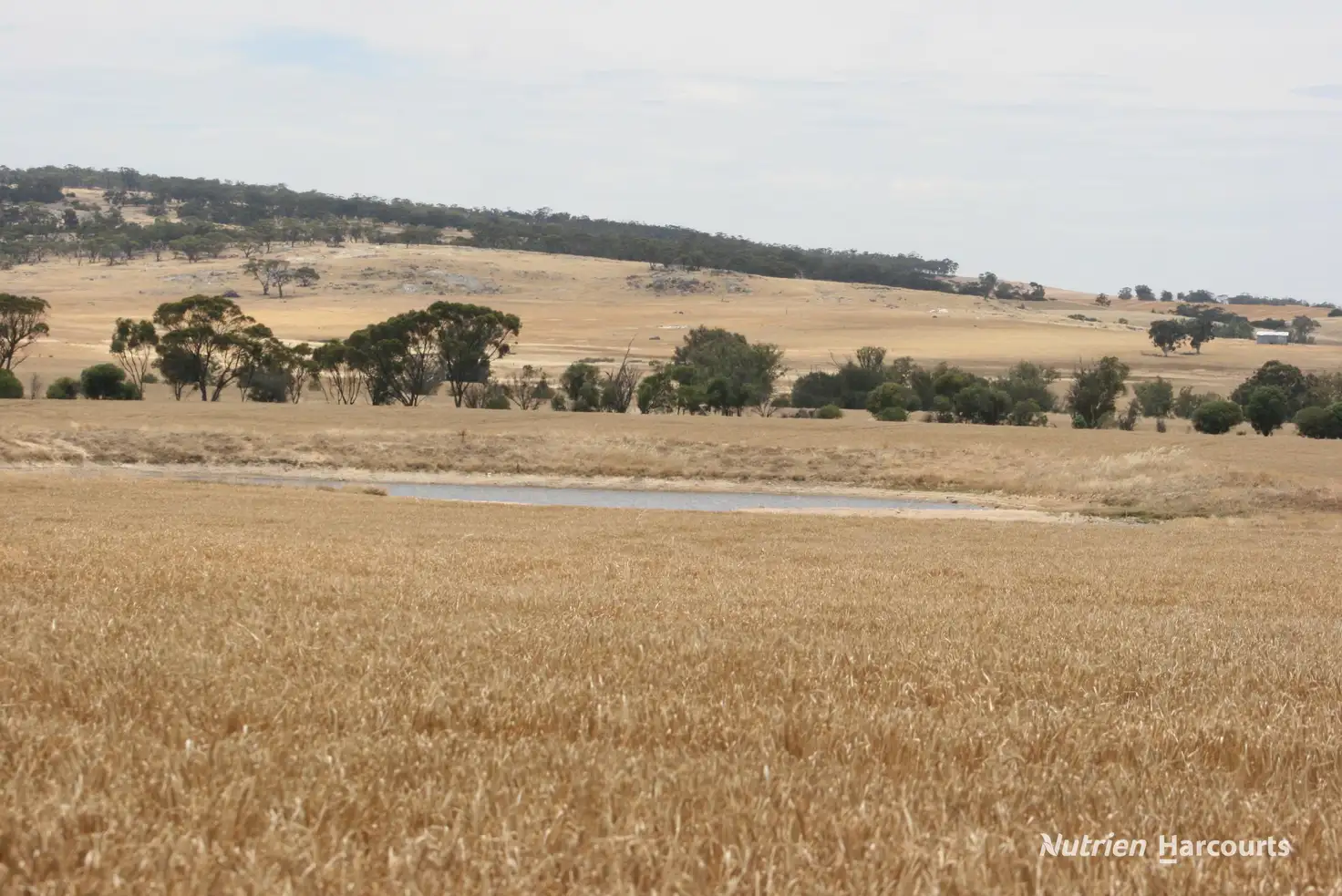 Main view of Homely rural property listing, Lot 1306 Talbot West Road, Talbot West WA 6302