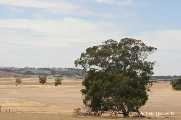 Fifth view of Homely rural property listing, Lot 1306 Talbot West Road, Talbot West WA 6302