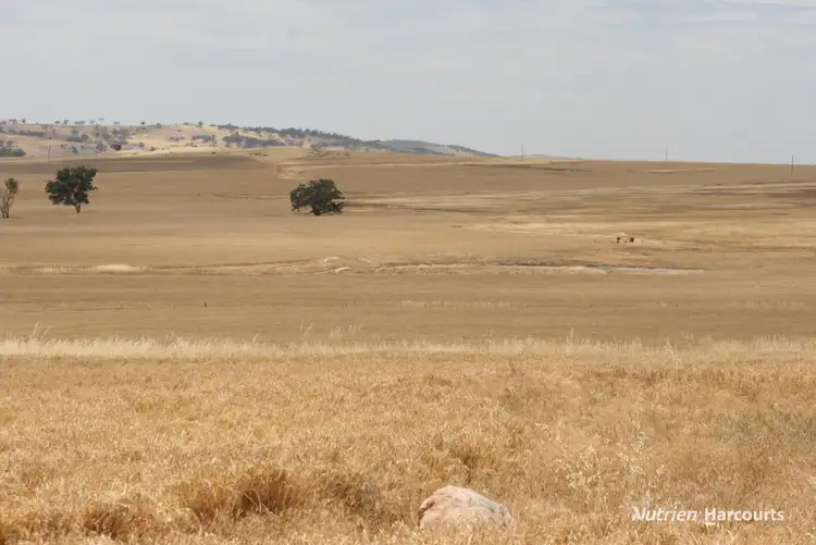 Seventh view of Homely rural property listing, Lot 1306 Talbot West Road, Talbot West WA 6302