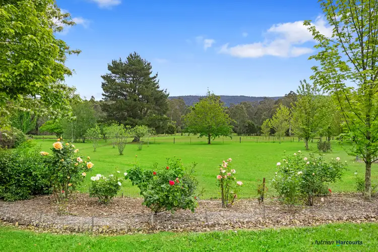 Sixth view of Homely rural property listing, 1899 Maroondah Highway, Buxton VIC 3711