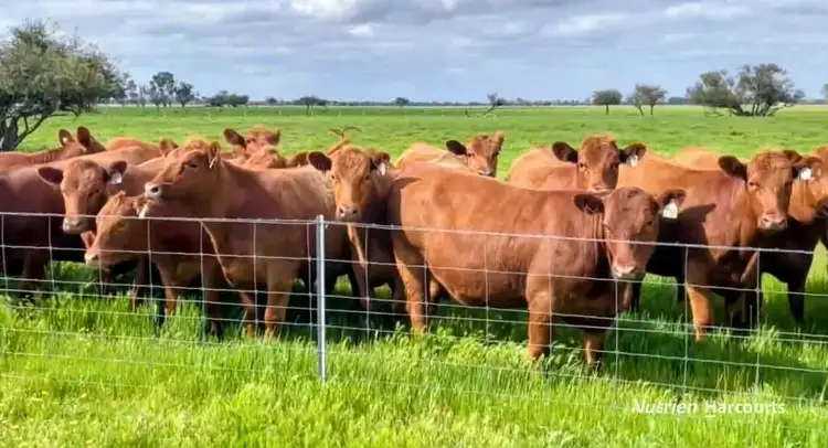 271 Mayfield Road (Beermullah), Gingin WA 6503