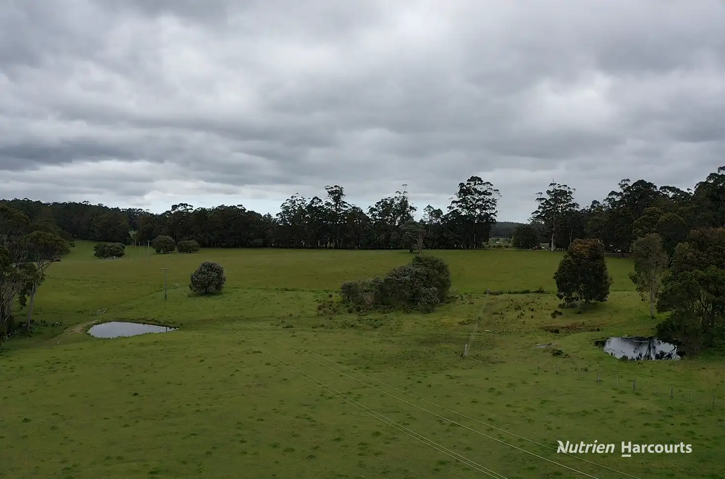 Main view of Homely rural property listing, 1636 Muirillup Road, Boorara Brook WA 6262