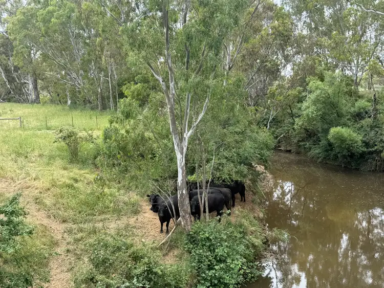 Second view of Homely rural property listing, C.A. 11B Old Yarck Road, Yarck VIC 3719