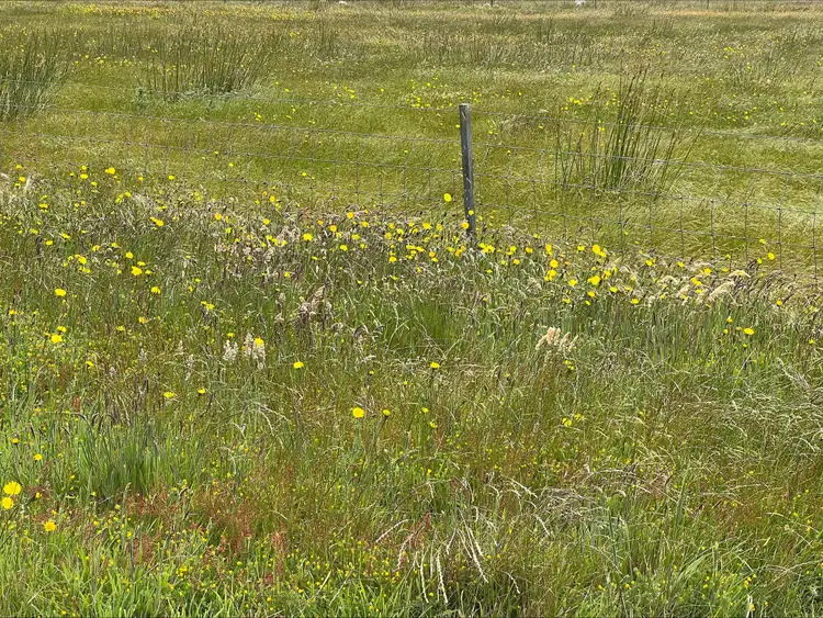 Fourth view of Homely rural property listing, Lot 1, 22 Baileys Lane, Whitemark TAS 7255