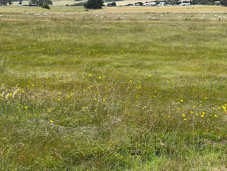 Fifth view of Homely rural property listing, Lot 1, 22 Baileys Lane, Whitemark TAS 7255