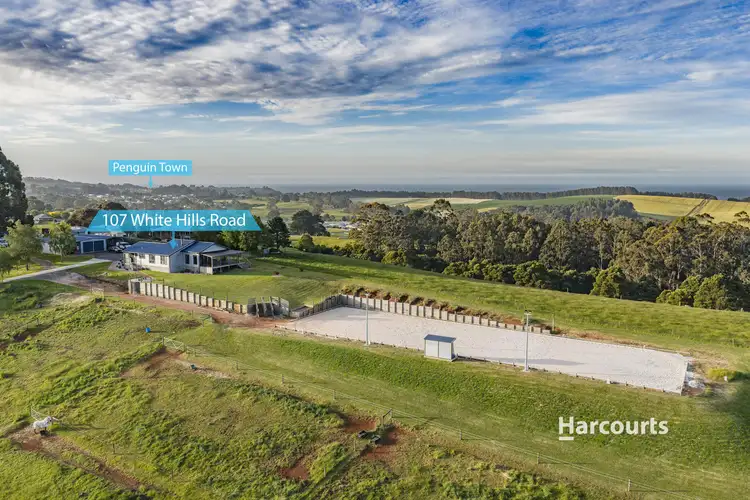 Sixth view of Homely house listing, 107 White Hills Road, Penguin TAS 7316