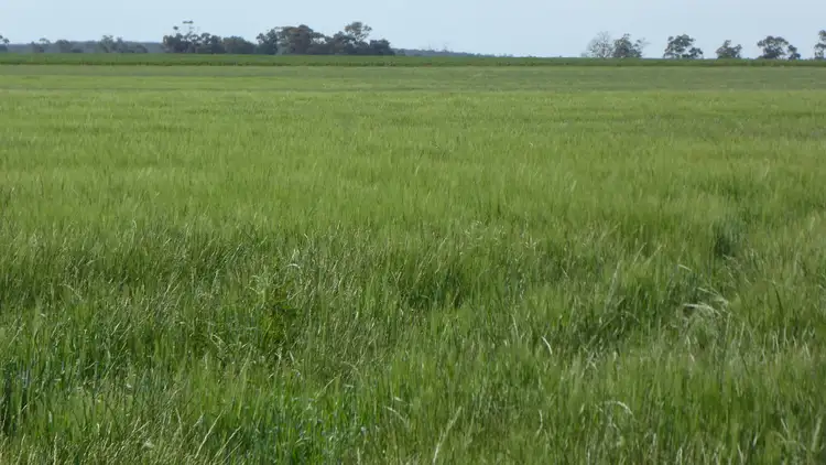 Fourth view of Homely rural property listing, S606 Swedes Flat Road, Mundulla West SA 5270